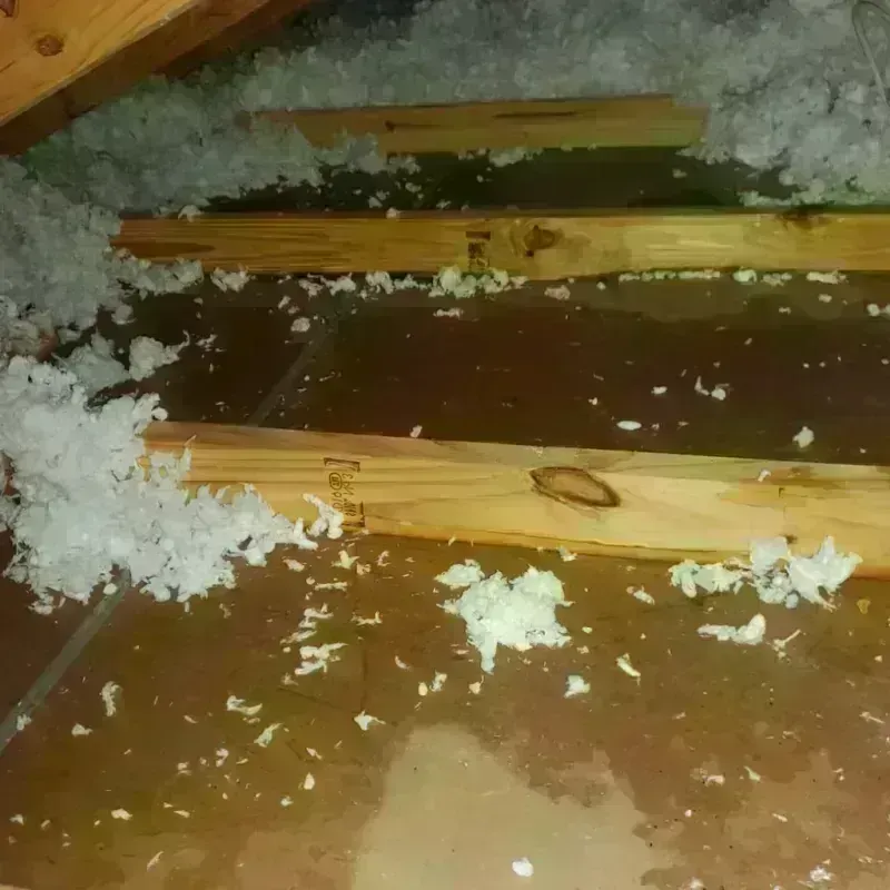 Attic Water Damage in Booneville, MS