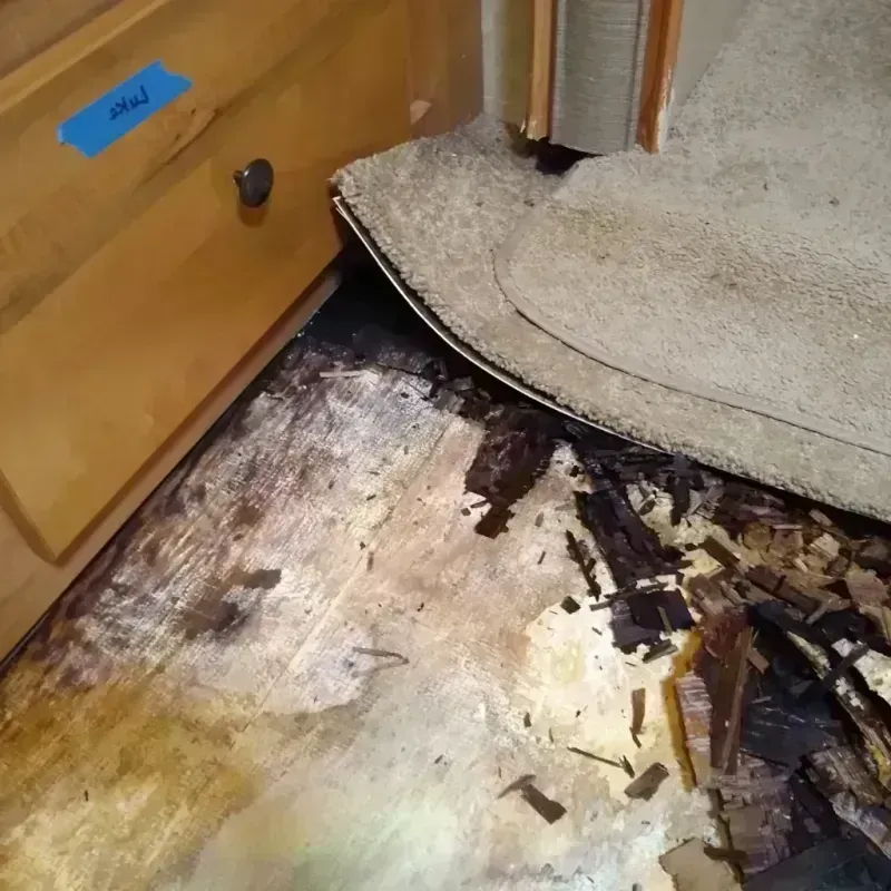 Wood Floor Water Damage in Booneville, MS